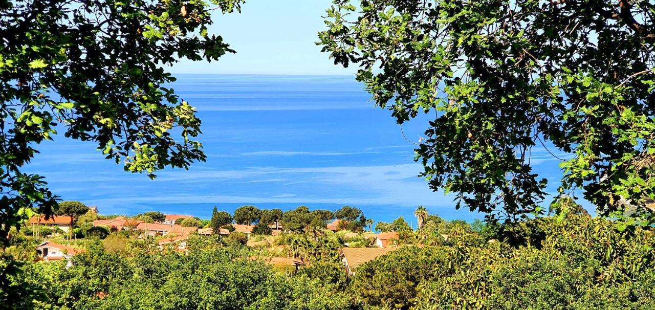 Naturamare Apartments - Piscina Idromassaggio Con Vista Mare Aperta Fino Alle Ore 22-00 Капо Ватикано Екстериор снимка